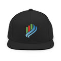 Crypto Renegades Snapback Hat